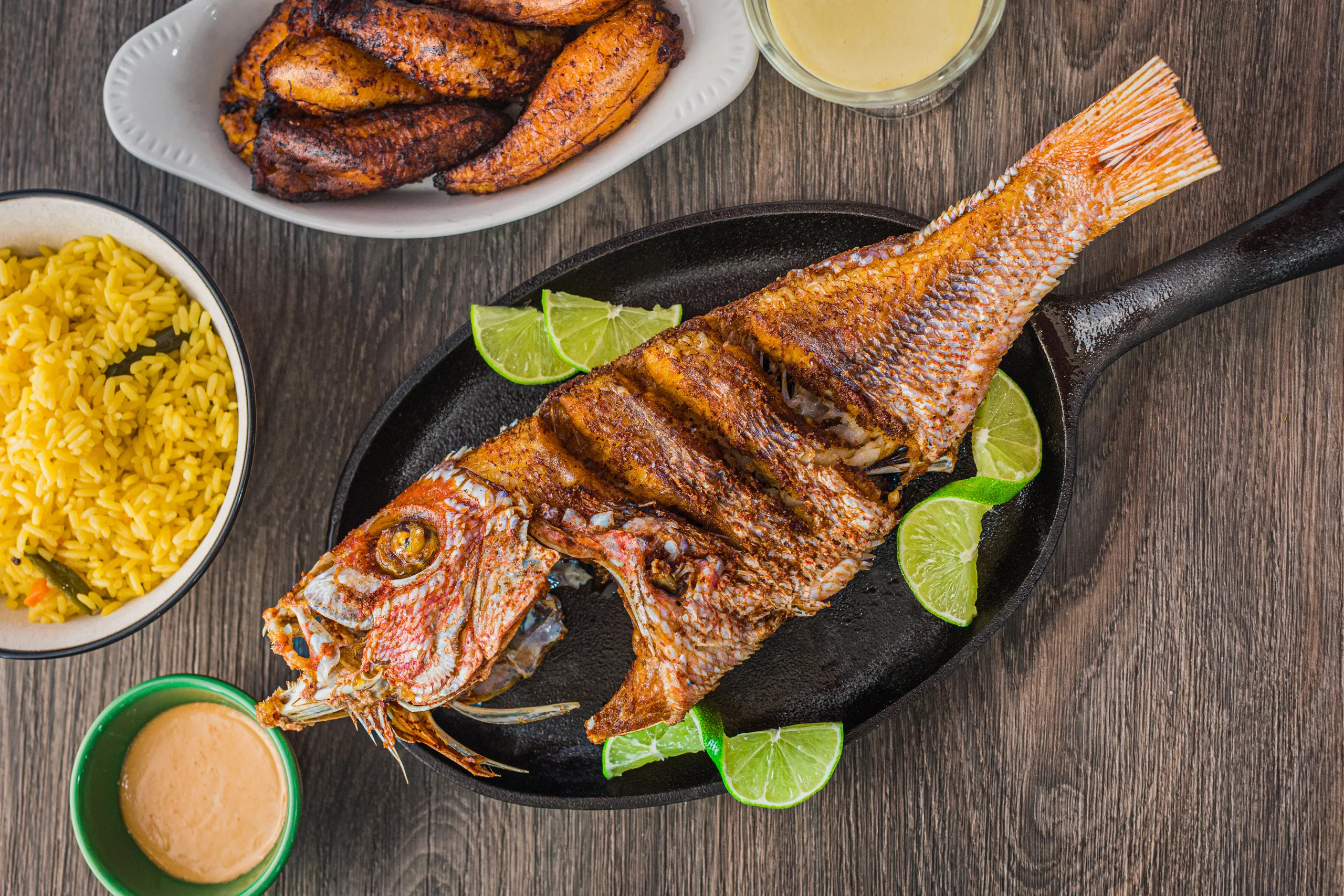 "Red Snapper "